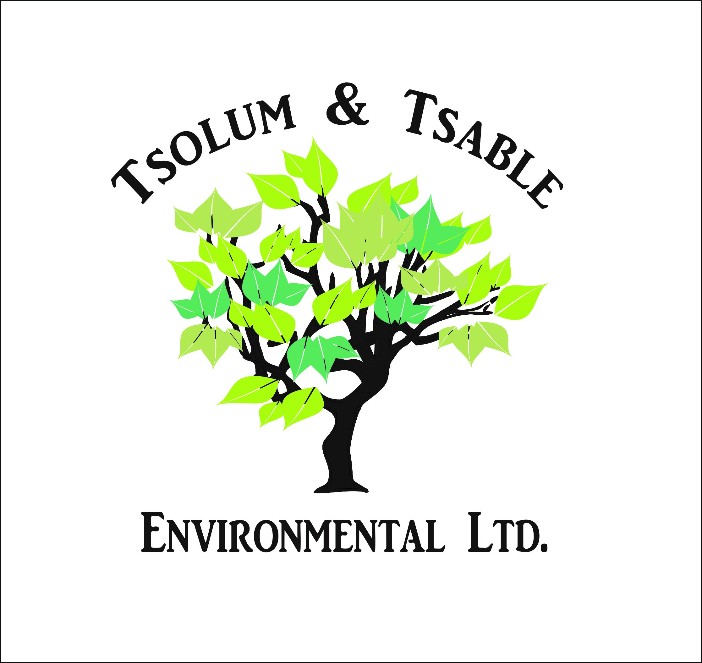Logo-Tsolum and Tsable